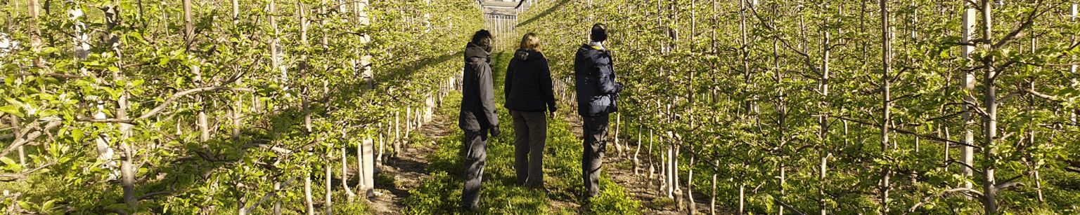 agritech-slide-home-1